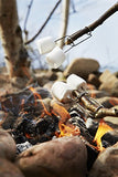 Light My Fire Grandpas FireFork Campfire Roasting Accessory, 2-Pack, Black/Orange