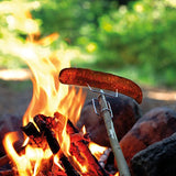 Light My Fire Grandpas FireFork Campfire Roasting Accessory, 2-Pack, Black/Orange